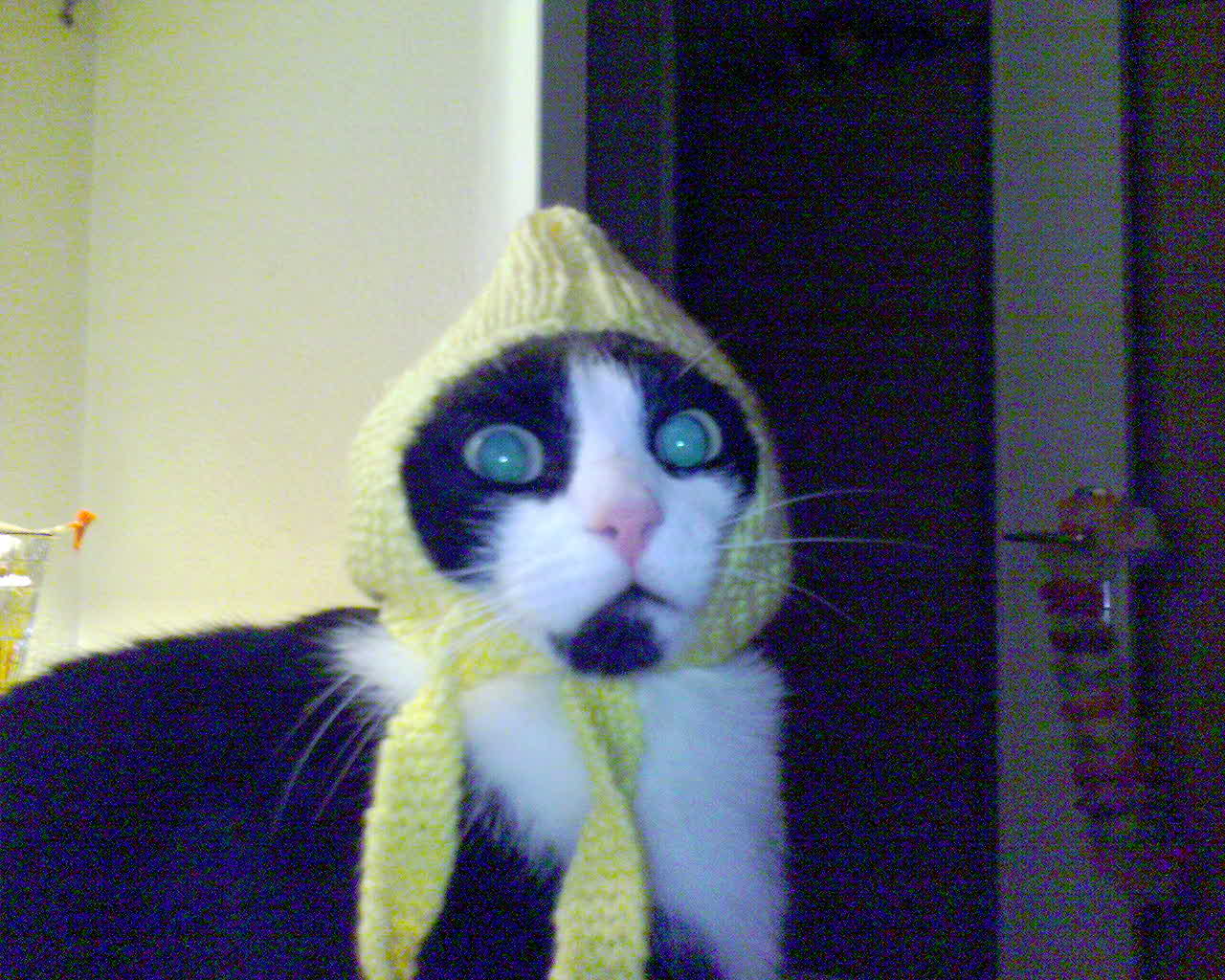 DSC00021.JPG