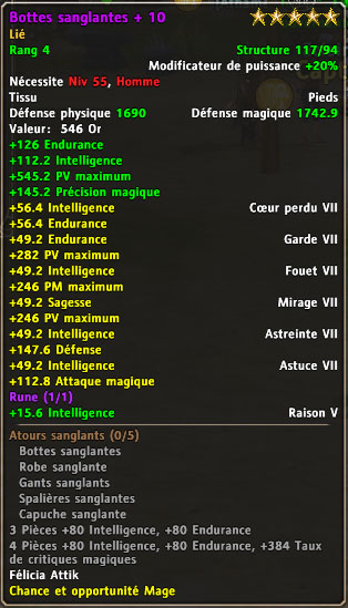 bottes.jpg