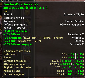 boucle oreille.jpg